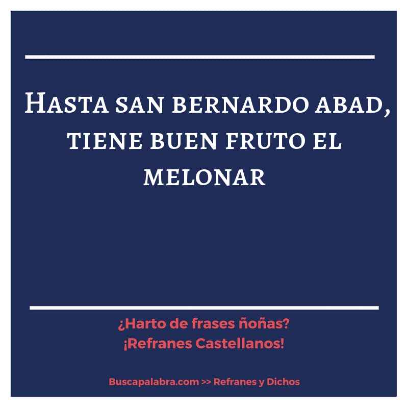 hasta san bernardo abad, tiene buen fruto el melonar - Refrán Español