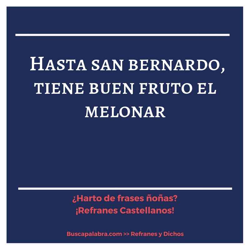 hasta san bernardo, tiene buen fruto el melonar - Refrán Español