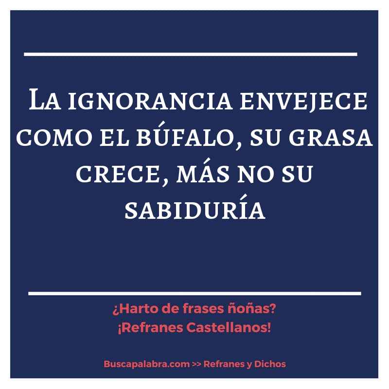 la ignorancia envejece como el búfalo, su grasa crece, más no su sabiduría - Refrán Español