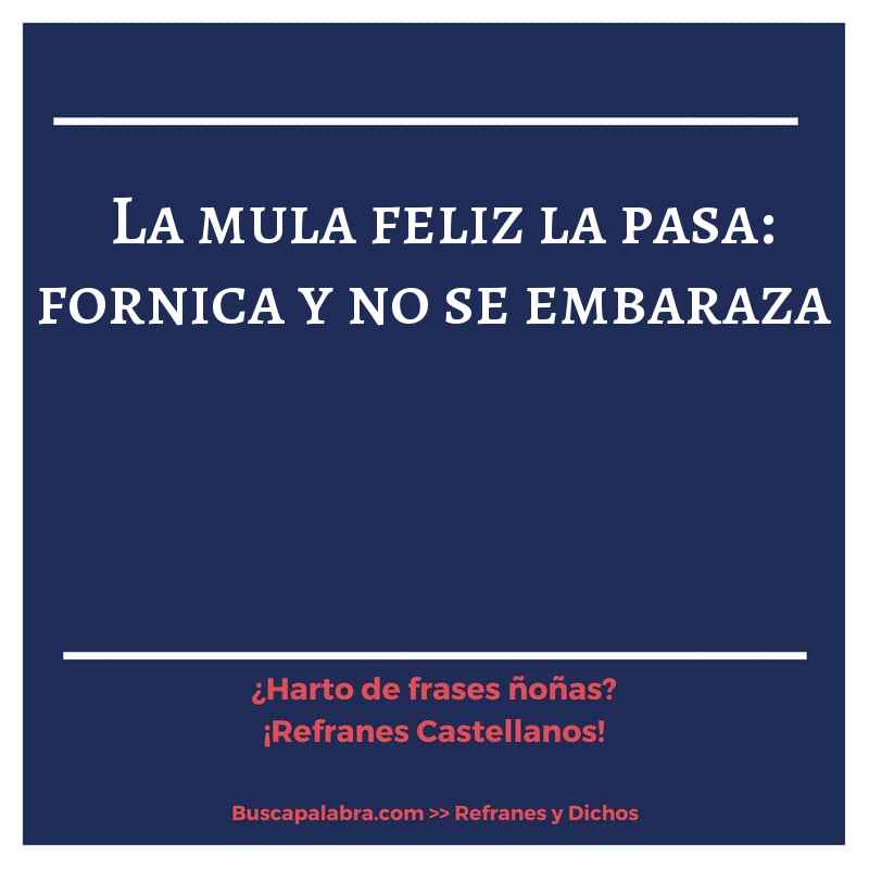 la mula feliz la pasa: fornica y no se embaraza - Refrán Español