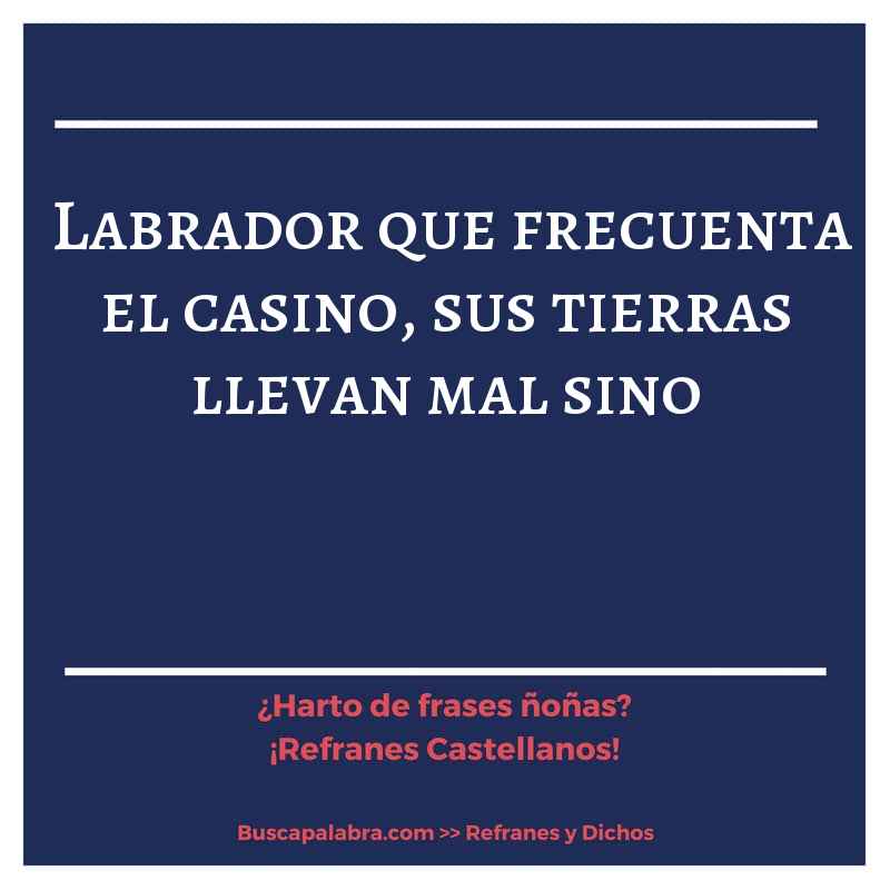 labrador que frecuenta el casino, sus tierras llevan mal sino - Refrán Español