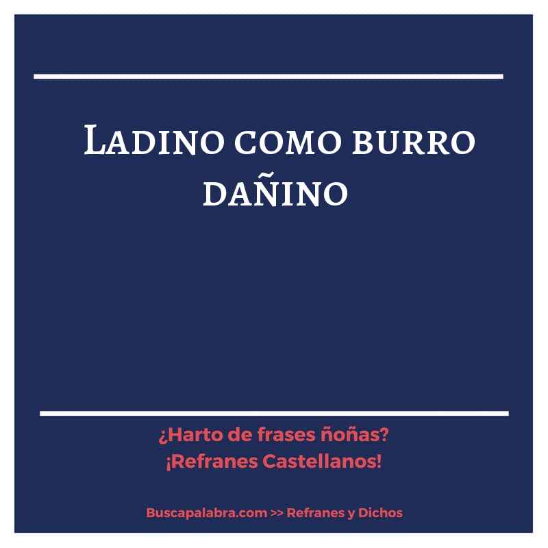 ladino como burro dañino - Refrán Español