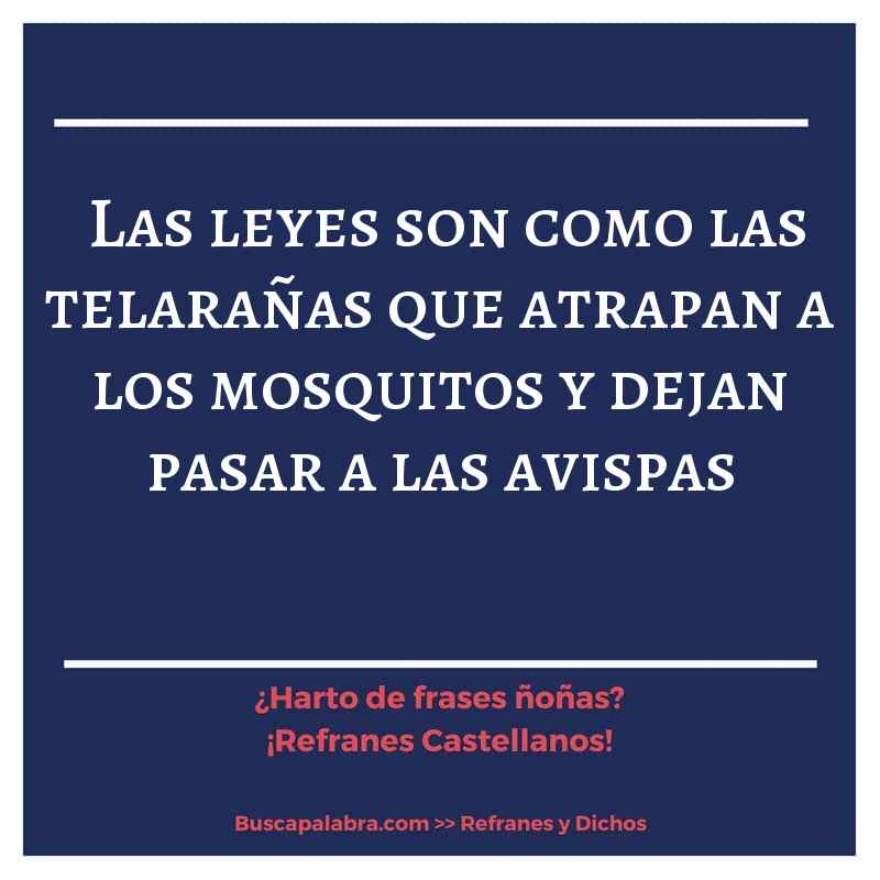 las leyes son como las telarañas que atrapan a los mosquitos y dejan pasar a las avispas - Refrán Español