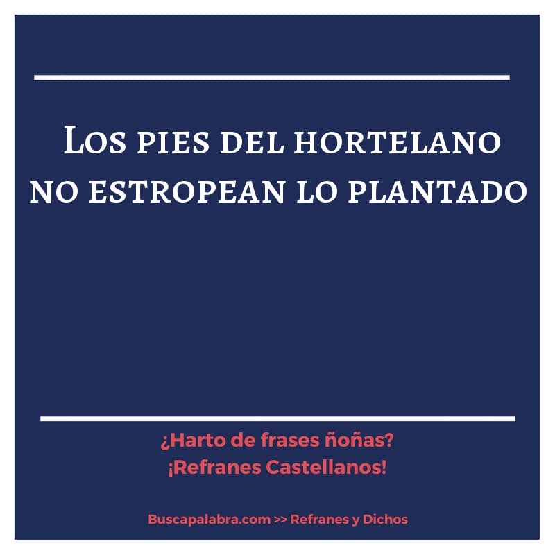 los pies del hortelano no estropean lo plantado - Refrán Español