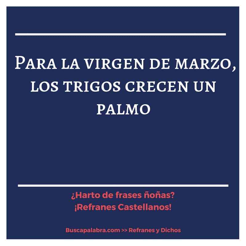 para la virgen de marzo, los trigos crecen un palmo - Refrán Español