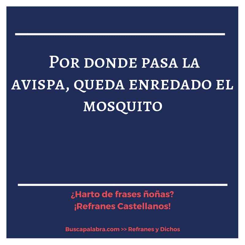 por donde pasa la avispa, queda enredado el mosquito - Refrán Español