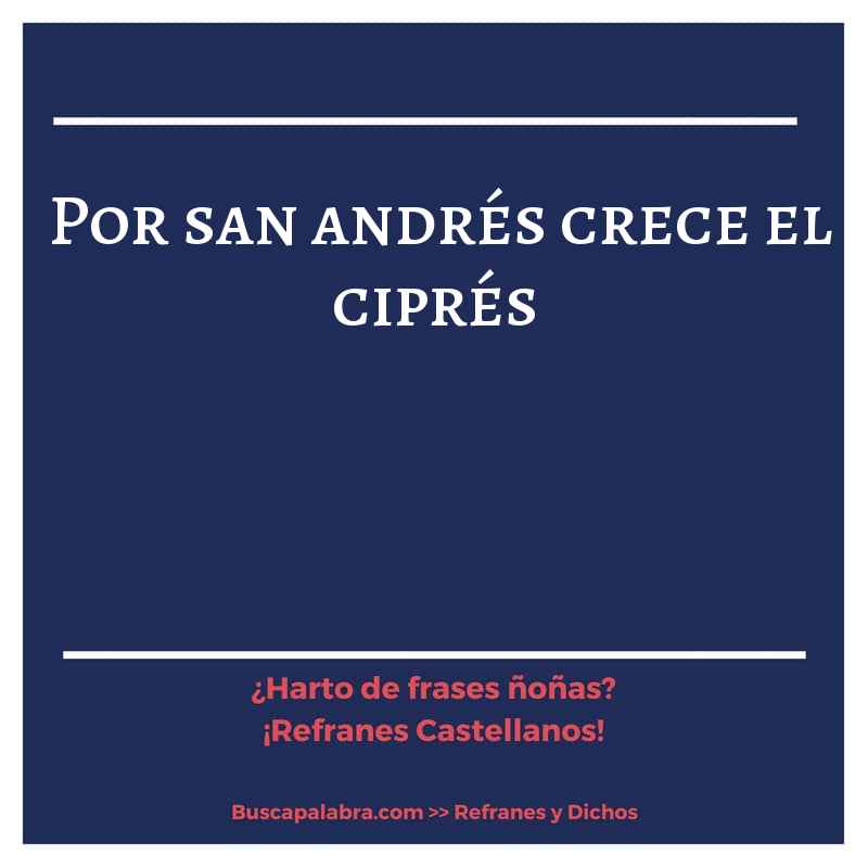 por san andrés crece el ciprés - Refrán Español