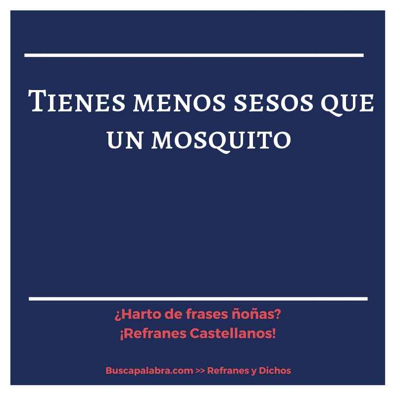 tienes menos sesos que un mosquito - Refrán Español