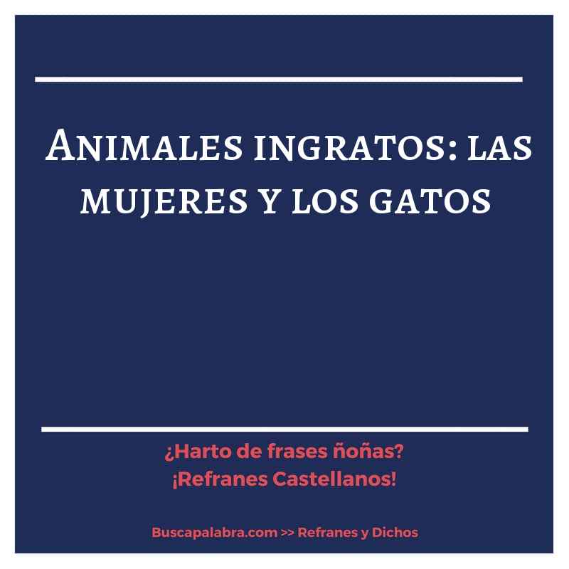 animales ingratos: las mujeres y los gatos - Refrán Español