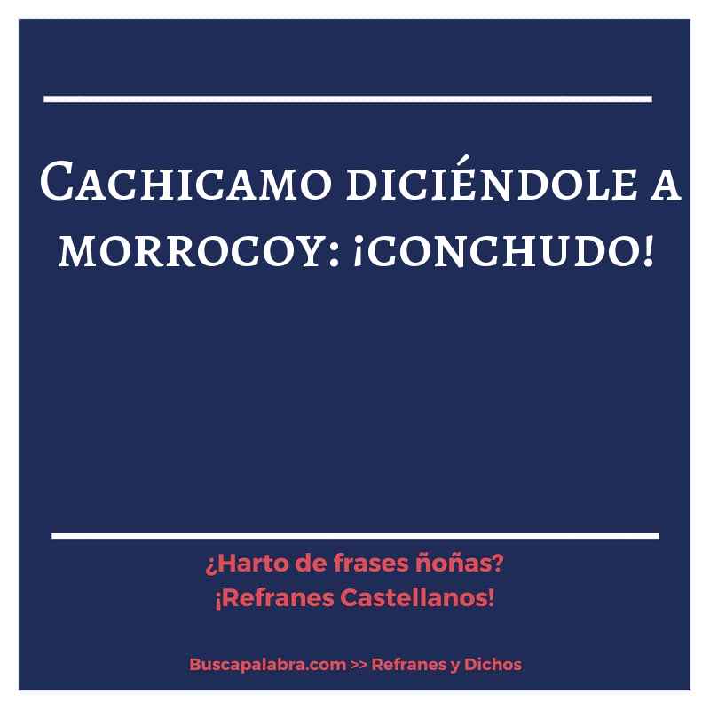cachicamo diciéndole a morrocoy: ¡conchudo!  - Refrán Español