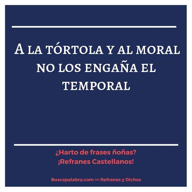 a la tórtola y al moral no los engaña el temporal - Refrán Español
