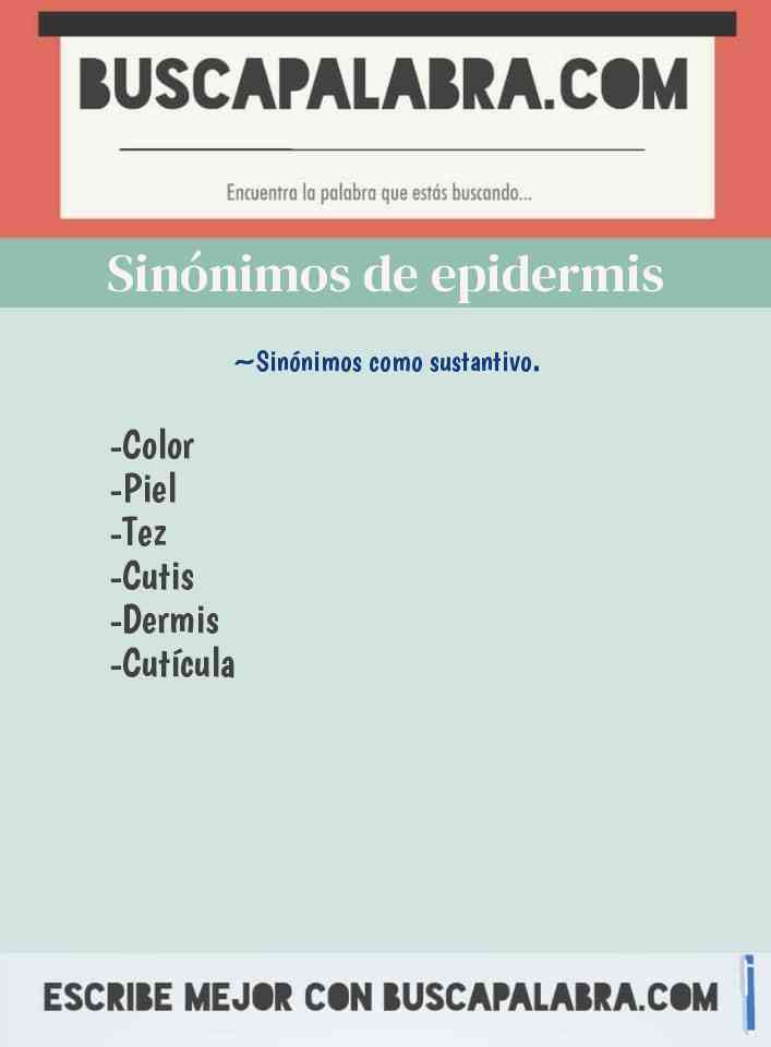 Sinónimo de epidermis