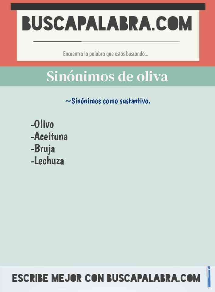 Sinónimo de oliva