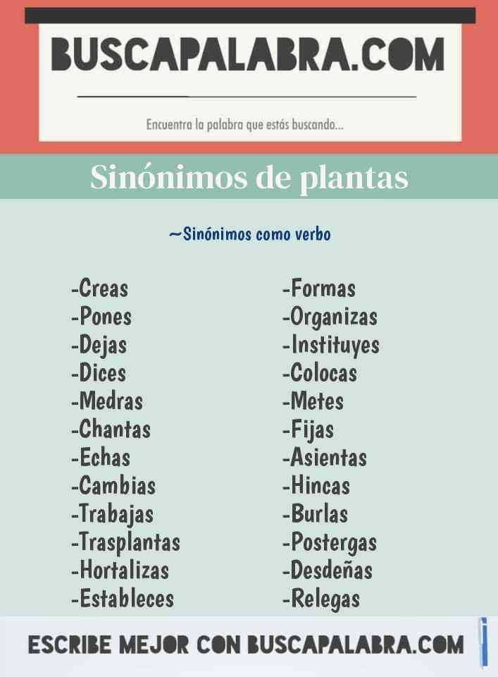 Sinónimo de plantas