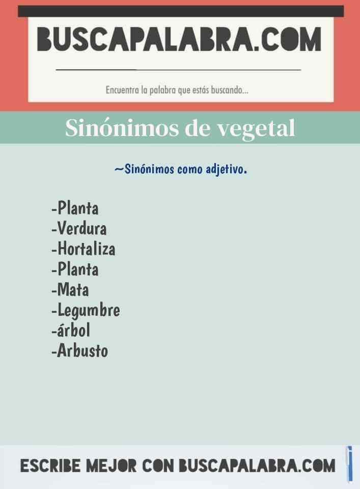 Sinónimo de vegetal