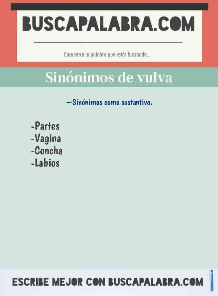 Sinónimo de vulva